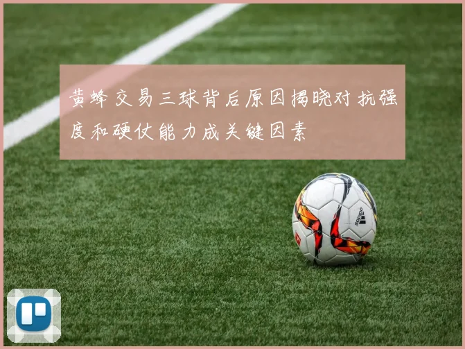 黄蜂交易三球背后原因揭晓对抗强度和硬仗能力成关键因素